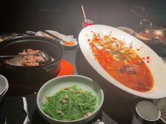-凤凰湘语(浦东旗舰店)