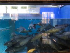 -淘米捞·米汤脆鲩鱼火锅(福田皇岗店)
