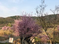 -石塘人家