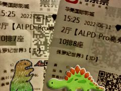 -华美国际影城(旧宫永辉店)