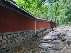 -阳台山自然风景区