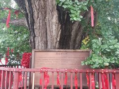 -康陵正德春饼宴26号