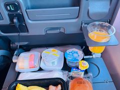 -新加坡航空公司(ION)