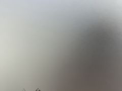 -Apple Store苹果手机电脑售后维修中心(浦东店)