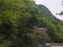 -北京上方山国家森林公园