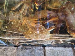 -蟹之国·精品蟹料理(极地店)