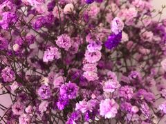-杭州街角花屋花店(闻堰店)