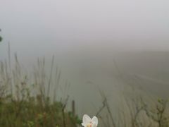 -大围山国家森林公园