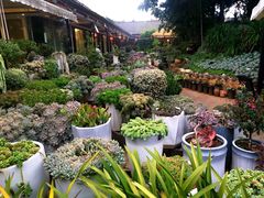 -山菌美食苑(振兴路店)