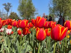 -泗洪洪泽湖湿地景区