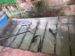 -姥家大锅台水库渔家