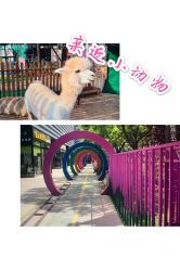 -萌宠亲子动物乐园(槐房万达店)