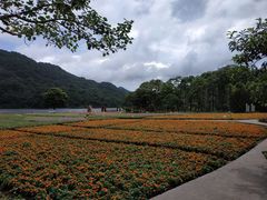 -广州市石门国家森林公园