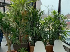 -北马山庄植趣咖啡