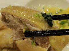 -清新鸡沙田乳鸽店(金融店)