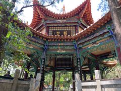 -昆明动物园