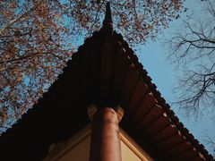 -T80科技文化国际社区-停车场