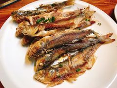 香煎马头鱼-和记菜馆