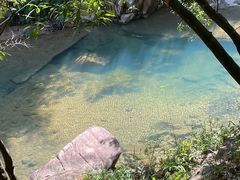 -广州白江湖森林公园