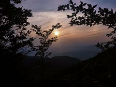 -武陵山森林公园