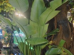 -阳光院坝小龙虾(红牌楼店)