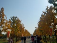 -汉景帝阳陵博物院