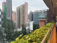 -香港大学