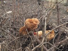 -南京金牛湖风景区