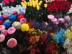 -越秀西湖花市(广州城市广场花卉店)