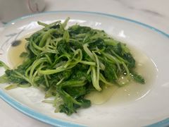 鸡毛菜-集贤门·徽菜(福田店)