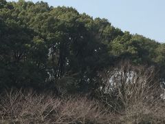 -苏州上方山国家森林公园
