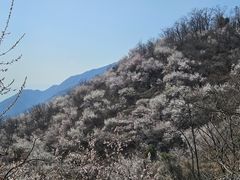 -香山公园
