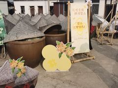 -苏州市吴中区光福窑上花果蜜饯厂