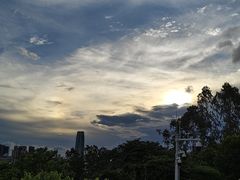 -莲花山公园