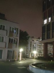 -上海交通大学医学院附属上海儿童医学中心(陆家嘴总院区)