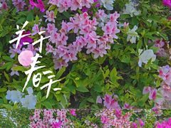 -江滨壹号艺文空间复合餐厅(闽江大道店)