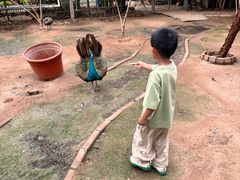-呀路古热带植物园