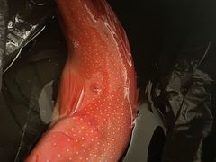 -徐记海鲜(汉城湖|太奥店)
