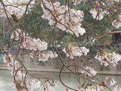 -红星桥(地铁站)