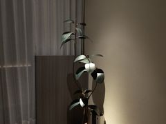 -木兰逸•泰式按摩•头疗•SPA(车公庙店)