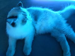 -零纪元VR体验馆·桌游(黄浦店)