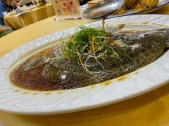 清蒸多宝鱼-旺富东海大酒楼(海鲜街店)