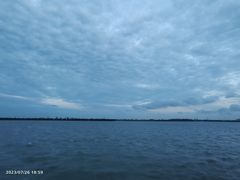 -漕湖湿地公园