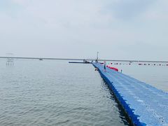 -碧海金沙