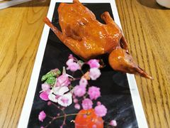 -大鸽饭(岗顶店)