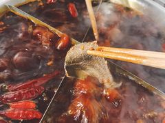 -渝味黄姐火锅(黄泥村店)