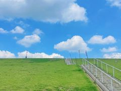 -佛手湖郊野公园