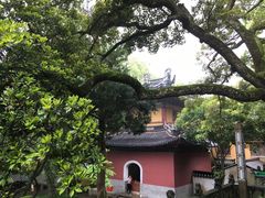 -普陀山风景名胜区-法雨禅寺