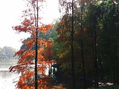 -东山湖公园