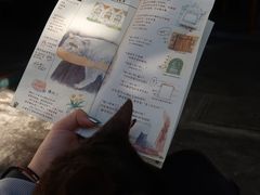 -喵屿·大理花园猫咖